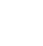 Партнёр честный знак