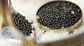 Маркировка икры